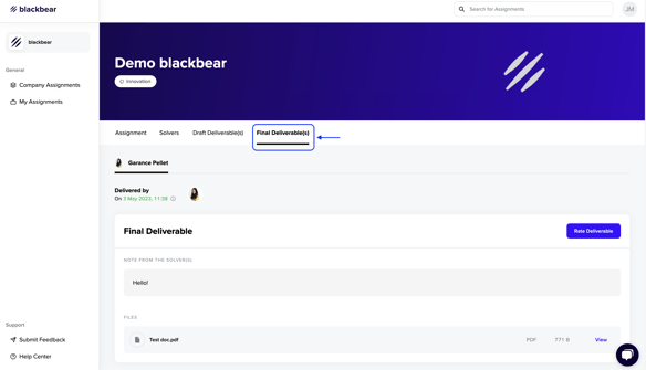 View Final deliverable